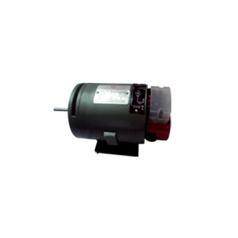 Ralli Wolf SPM 43 special purpose motor — 240V, 970W full load, high torque. For circuit breaker applications.