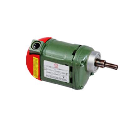 Ralli Wolf SPM 8 special purpose motor — 220V AC/DC, compact drive motor for circuit breaker applications