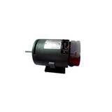 Ralli Wolf SPM 43 special purpose motor — 240V, 970W full load, high torque. For circuit breaker applications.