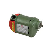 Ralli Wolf SPM 23 Special Purpose Motor – Circuit Breaker Application, 220V AC/DC